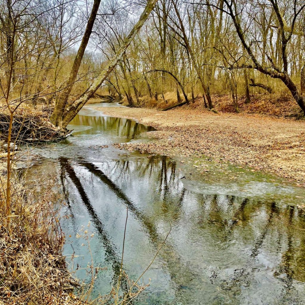 AirBnB in Illinois near Champaign, Danville, Urbana and Potomac and middle fork river