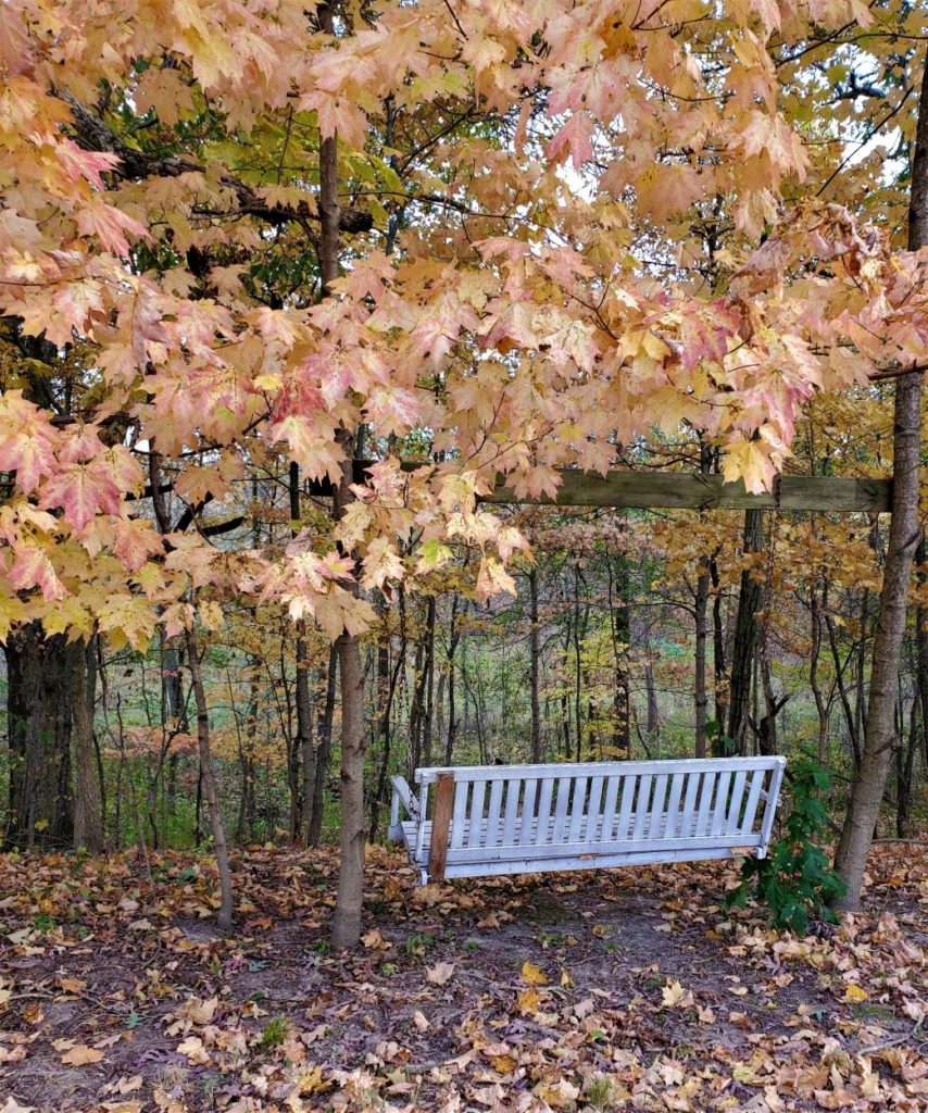 Wooded AirBnB in Illinois near Champaign, Danville, Urbana and Potomac