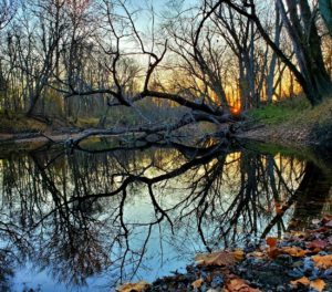 AirBnB in Illinois near Champaign, Danville, Urbana and Potomac